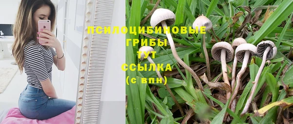 каннабис Абдулино
